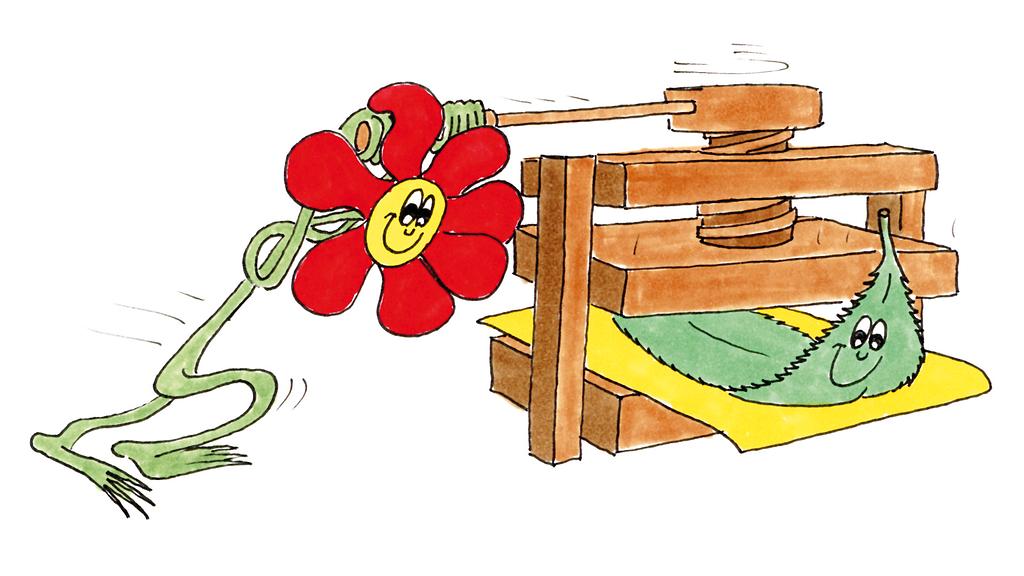 Plant Press 9-10 years