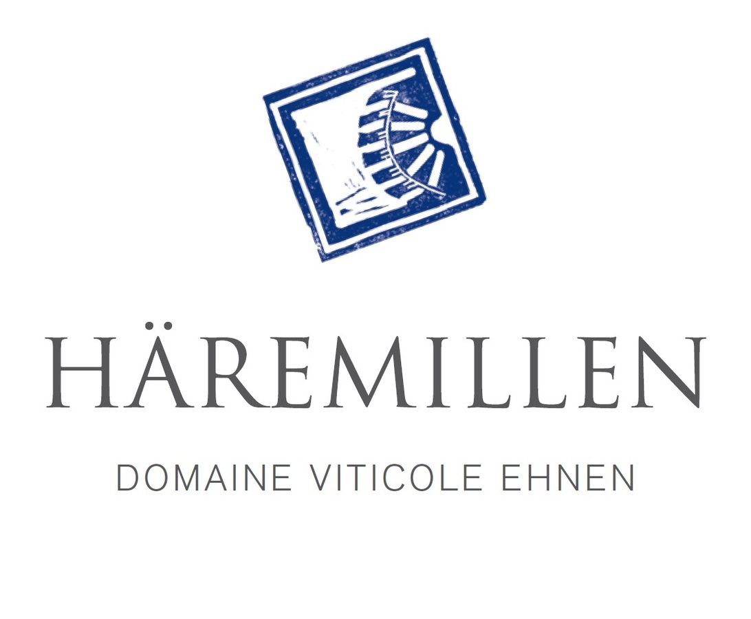 Dégustation et Fabrication de Vin