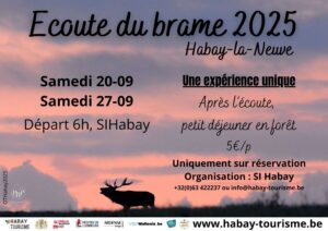 Écoute du brame du cerf avec le SI Habay