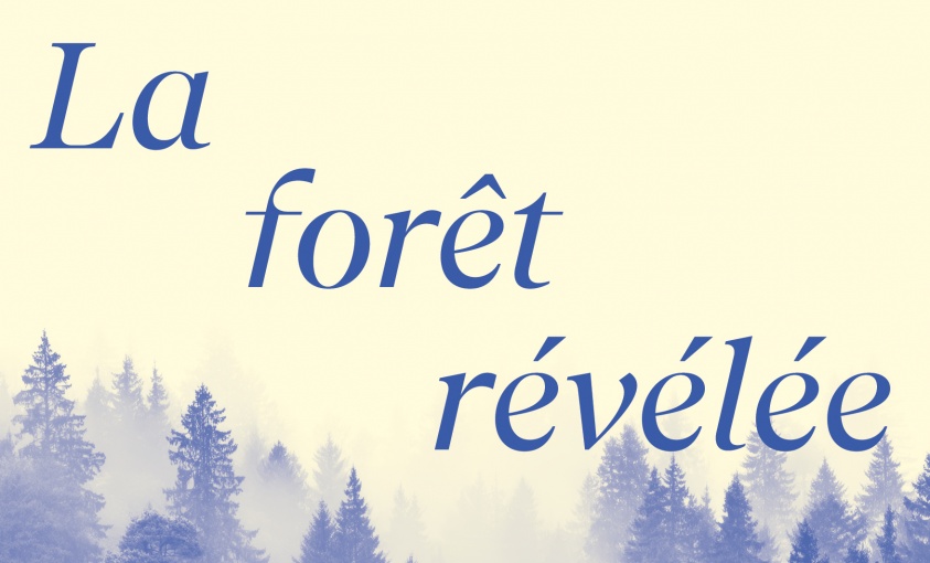La forêt révélée