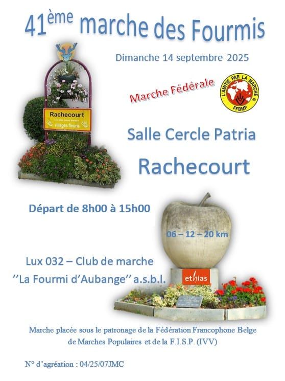 La marche des fourmis
