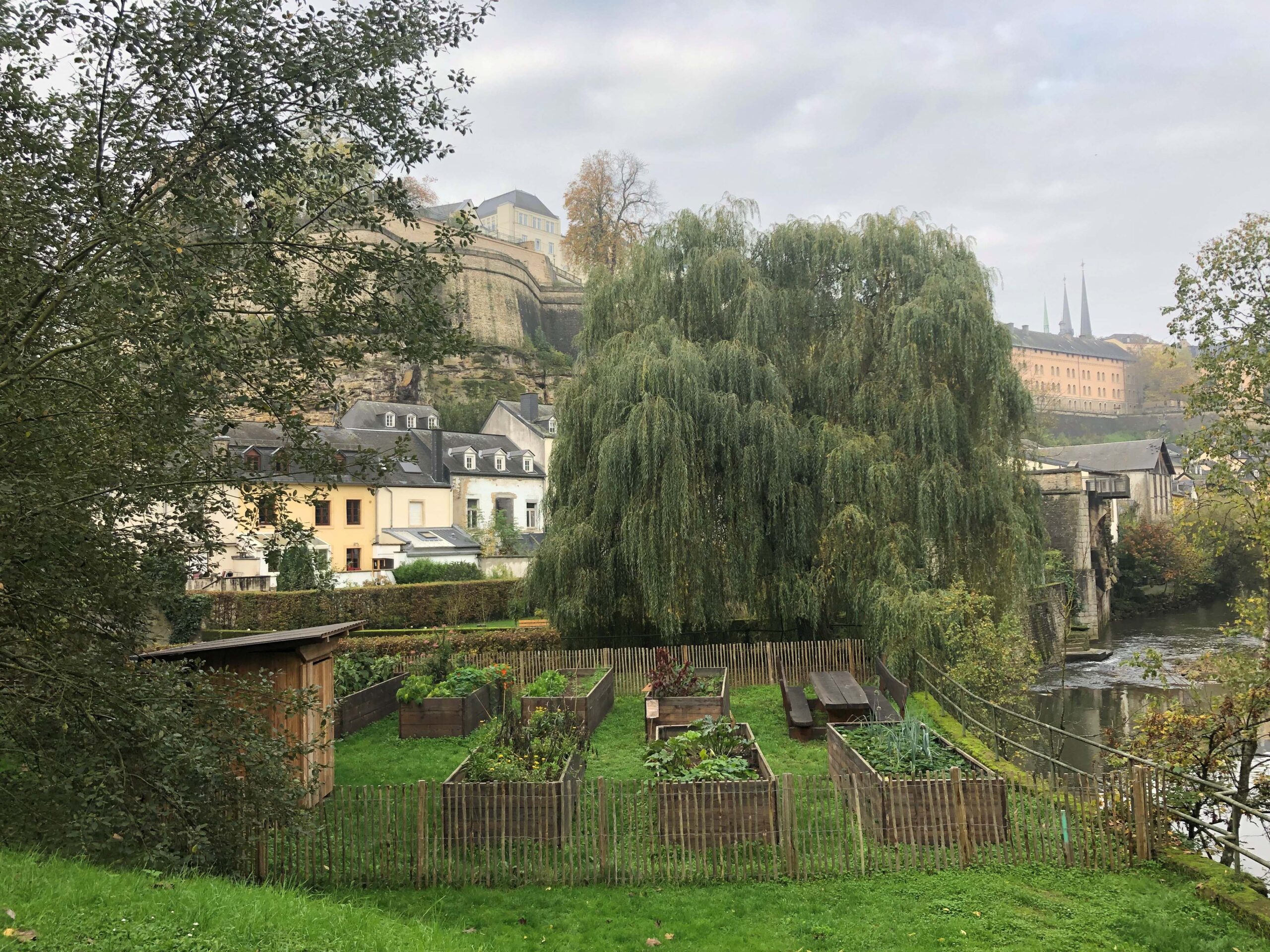 Porte Ouverte du Jardin communautaire quartier Grund