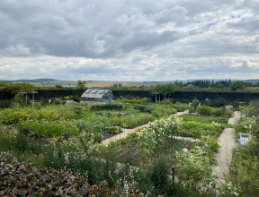European Heritage Days at the Fruit Gardens of Laquenexy