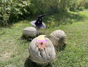 Le 1er novembre : Atelier Lutin feuillu