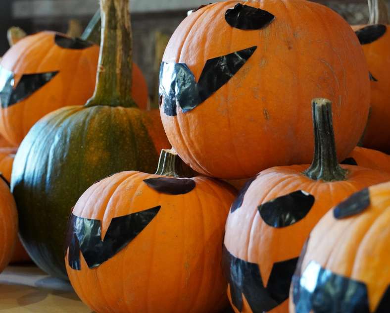 Pumpkin Contest