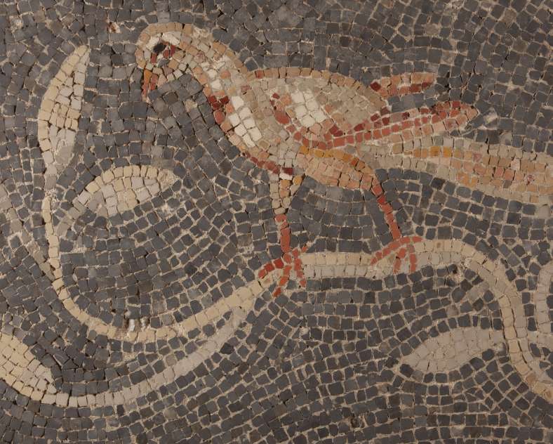 Visit: At the table of the Gallo-Romans - European Heritage Days
