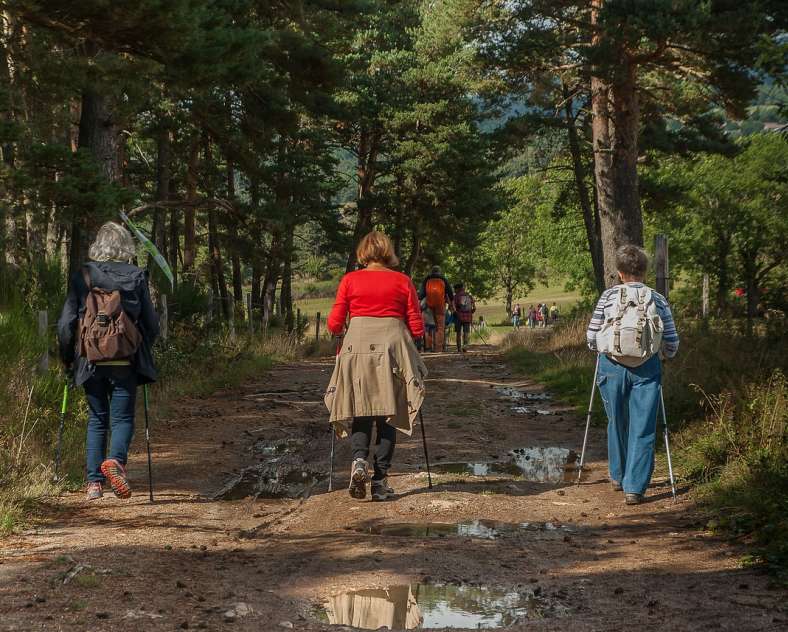 Groins' walk