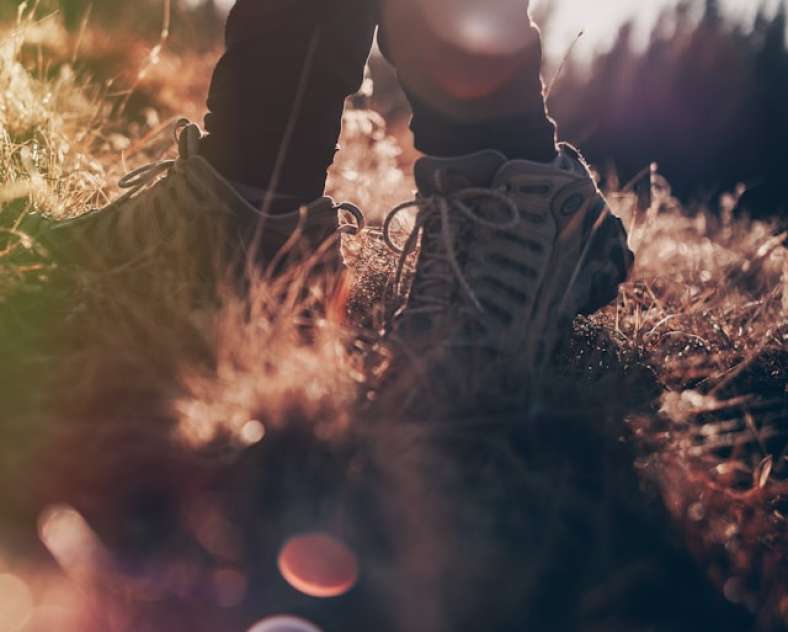 Walk - The 50-Year Loop