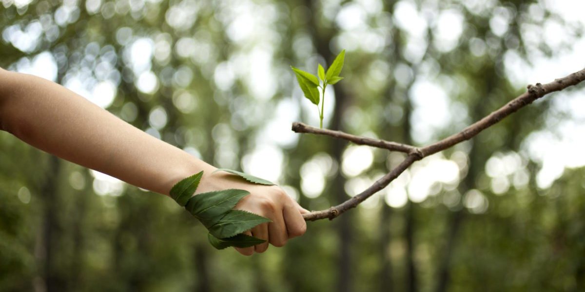 Que me fait la nature ?