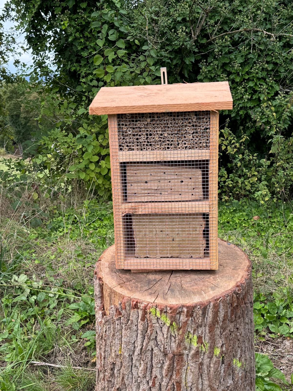 Helping Wild Bees: Insect Hotels