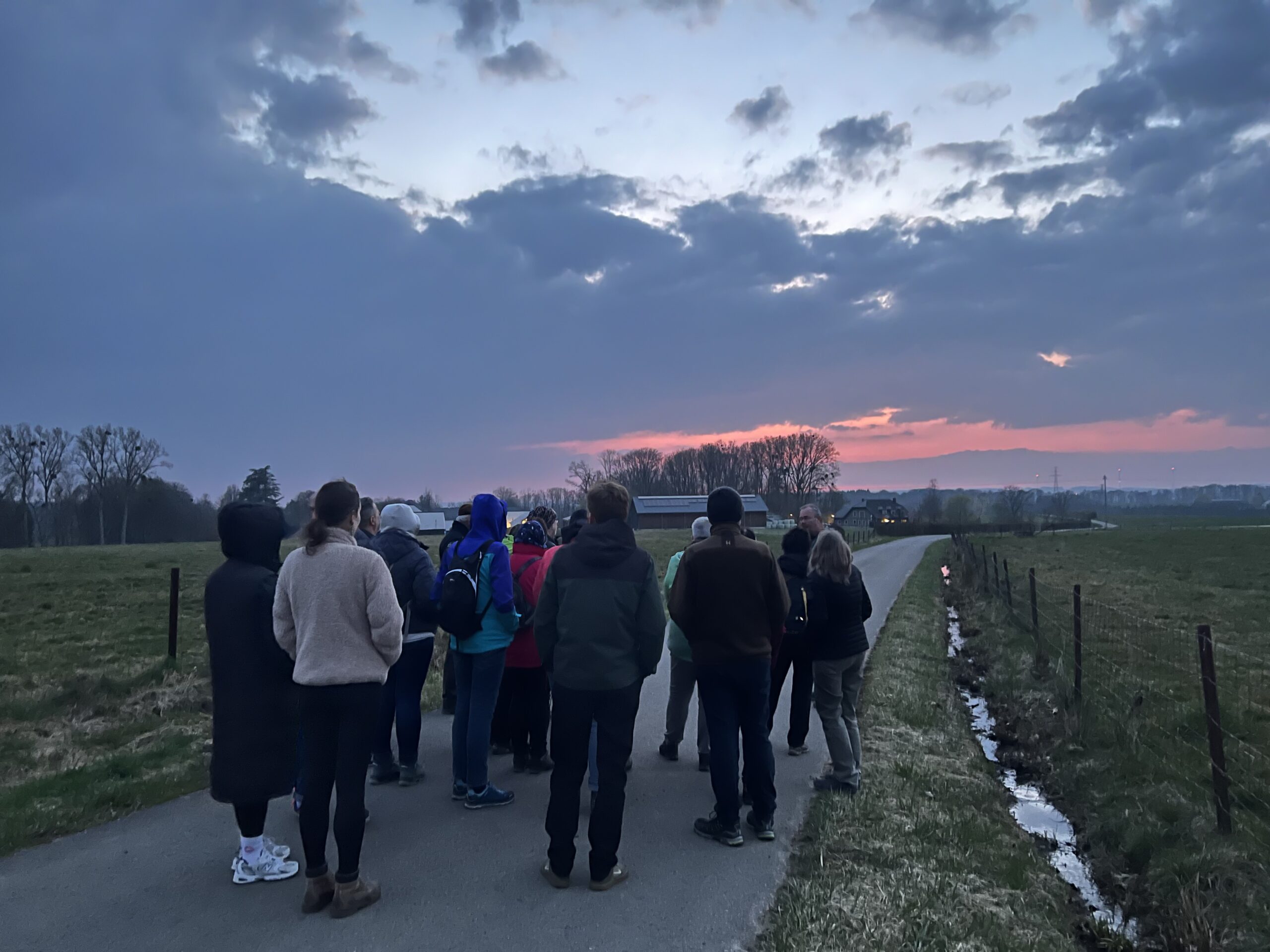 Nocturnal Walk (Light and Darkness)