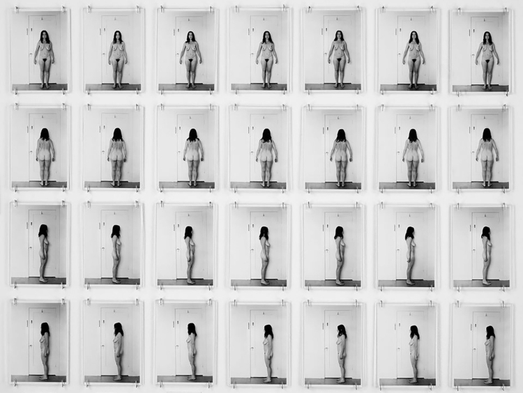 Curator Tour