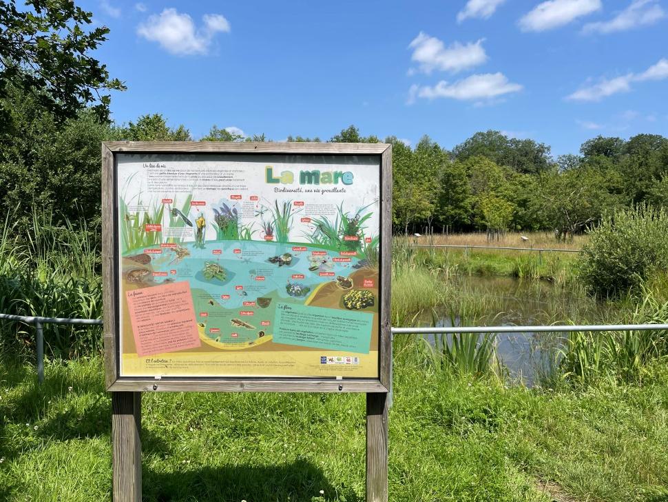 Visite commentée | Jardin-forêt expérimental d'Arlon
