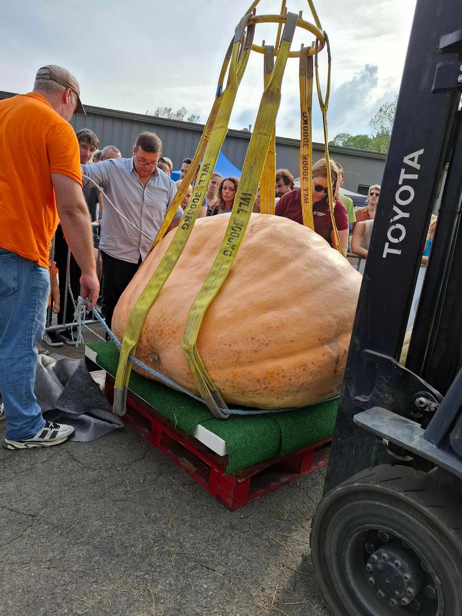 Pumpkin Weekend 2025