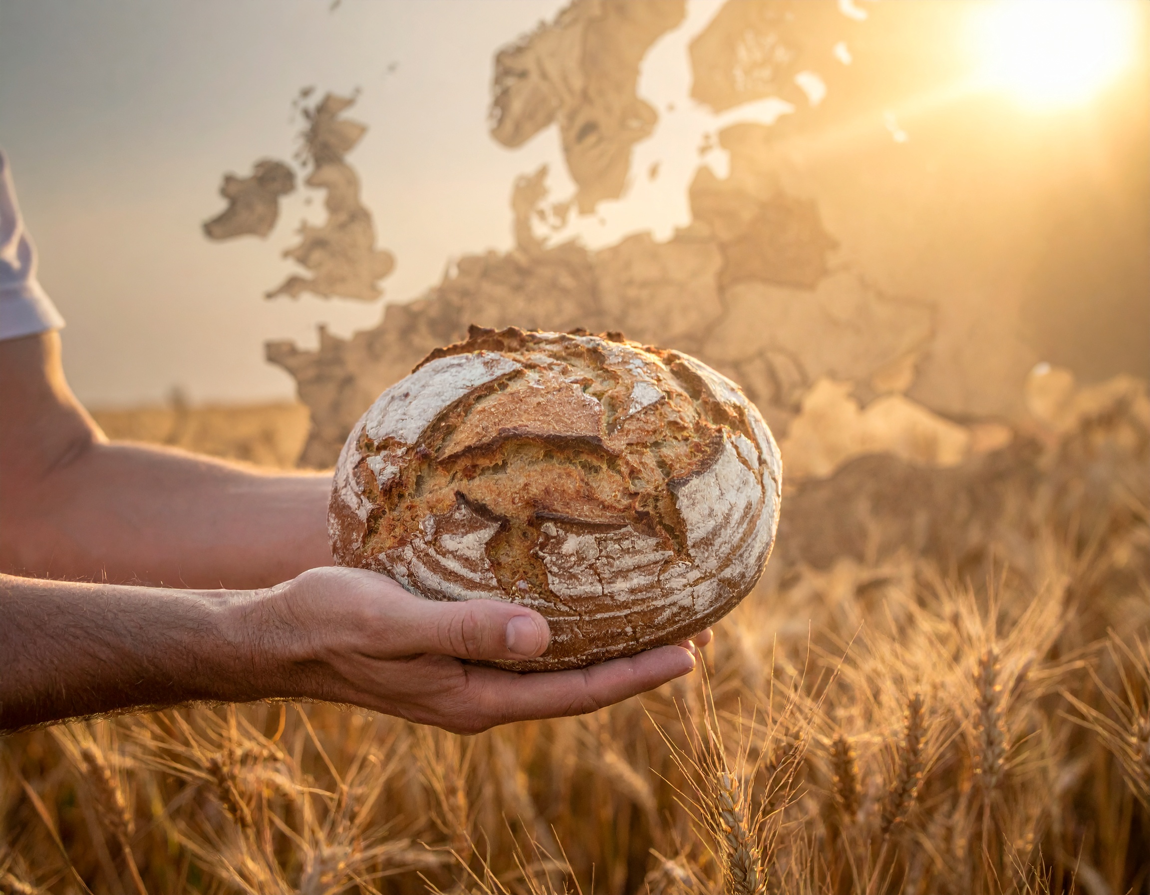 Food Stories – Europe