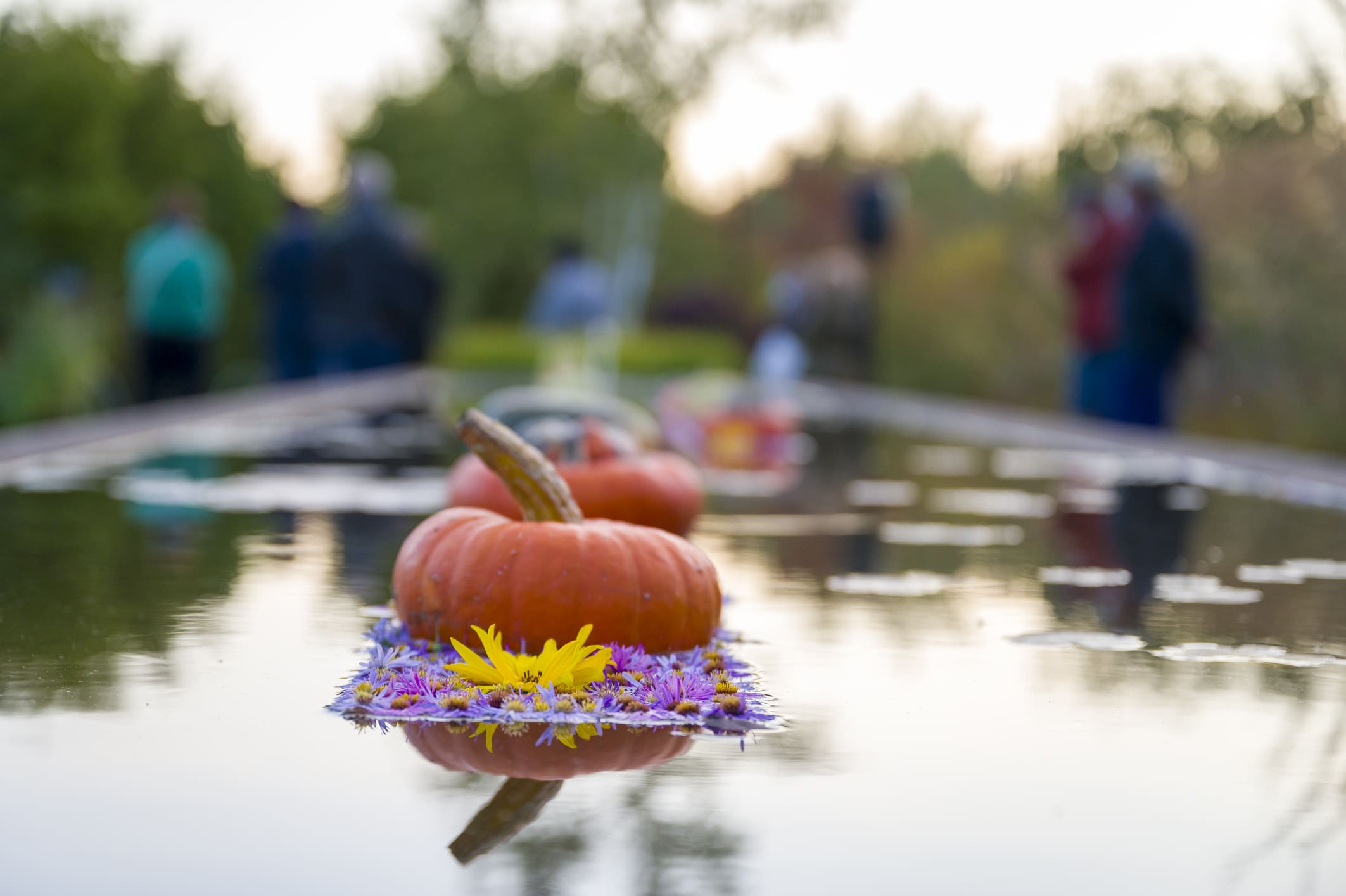 Magic of Autumn - Guided Tours at Twilight