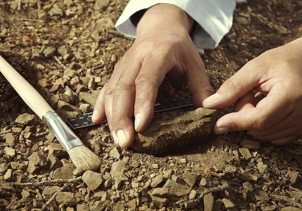 Archéobox, 1870: Treasures beneath the earth