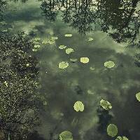 Between Water and Imagination, Olivier Toussaint and Loïc Demey