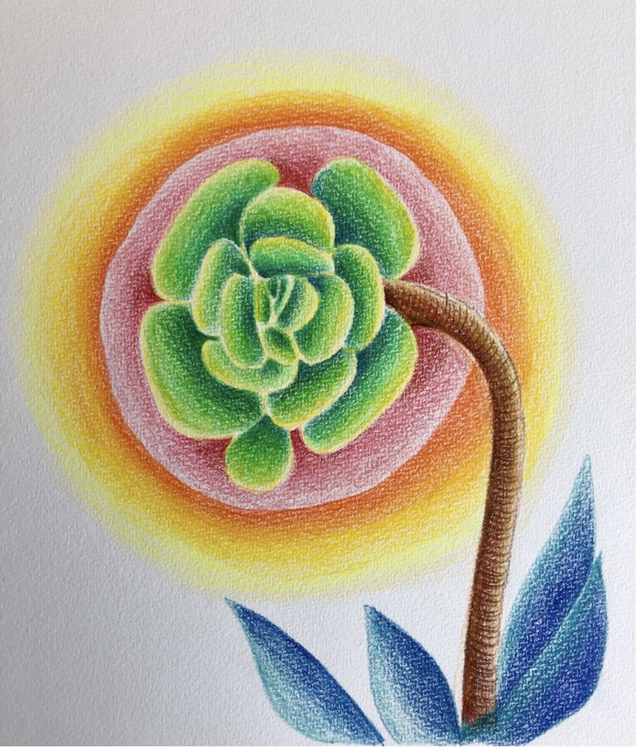 Dessinez votre fleur pour éclore de l'intérieur