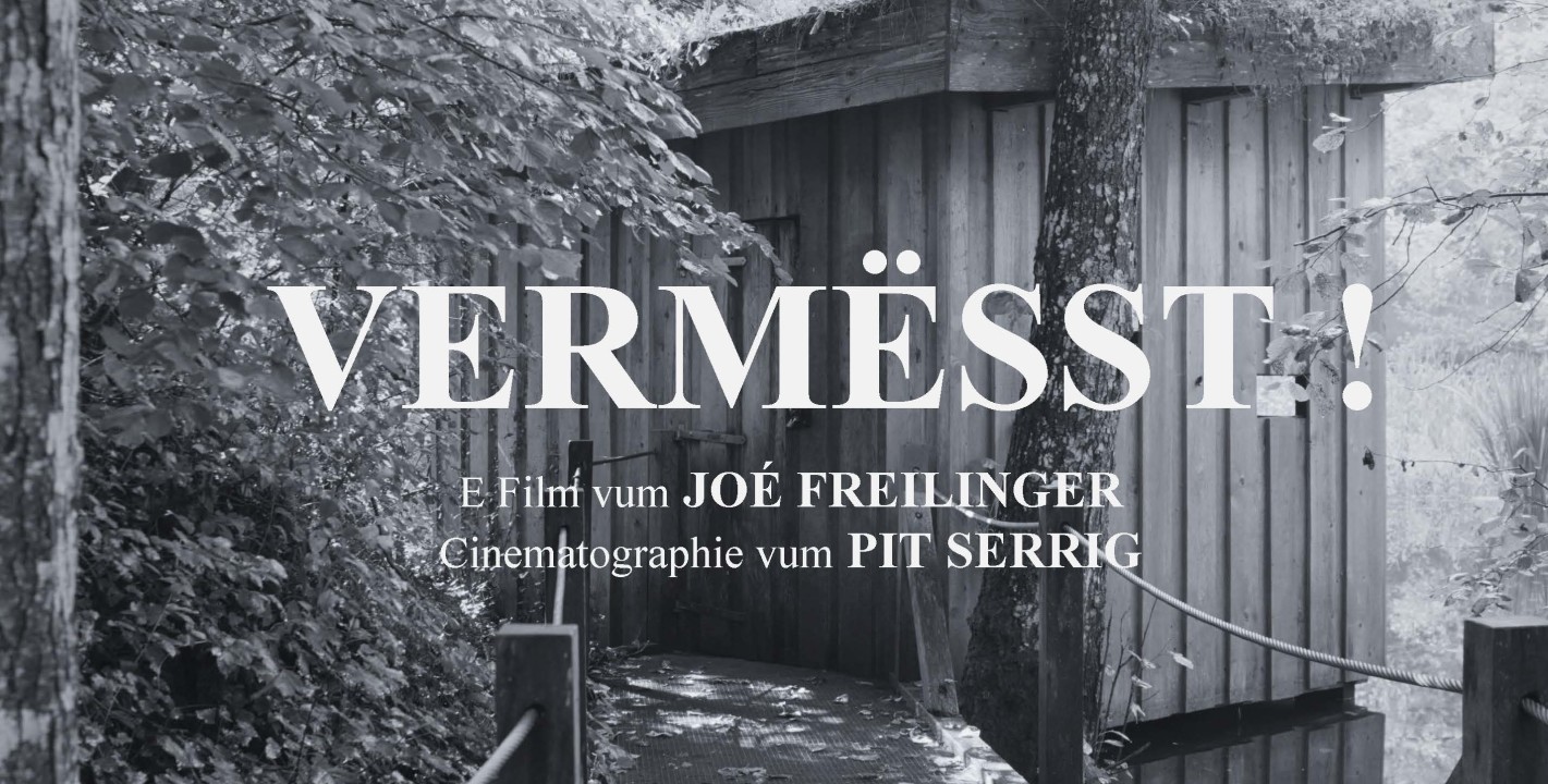 Screening of the movie "Vermësst!" by Joé Freilinger