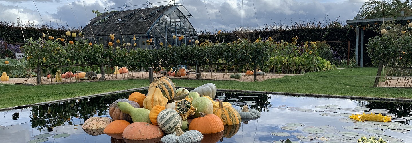 The Magic of Autumn