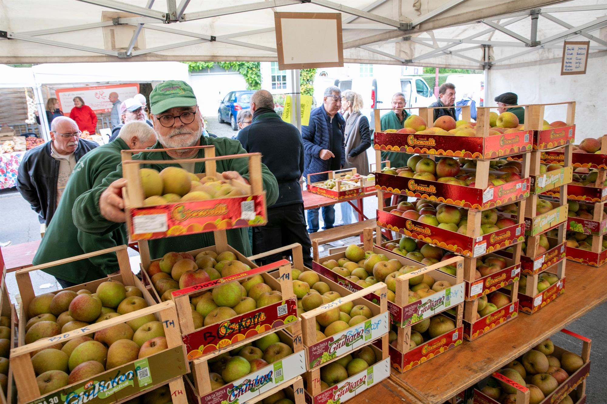 Fruit Exhibition