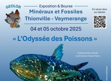 Minerals and Fossils Exhibition and Fair