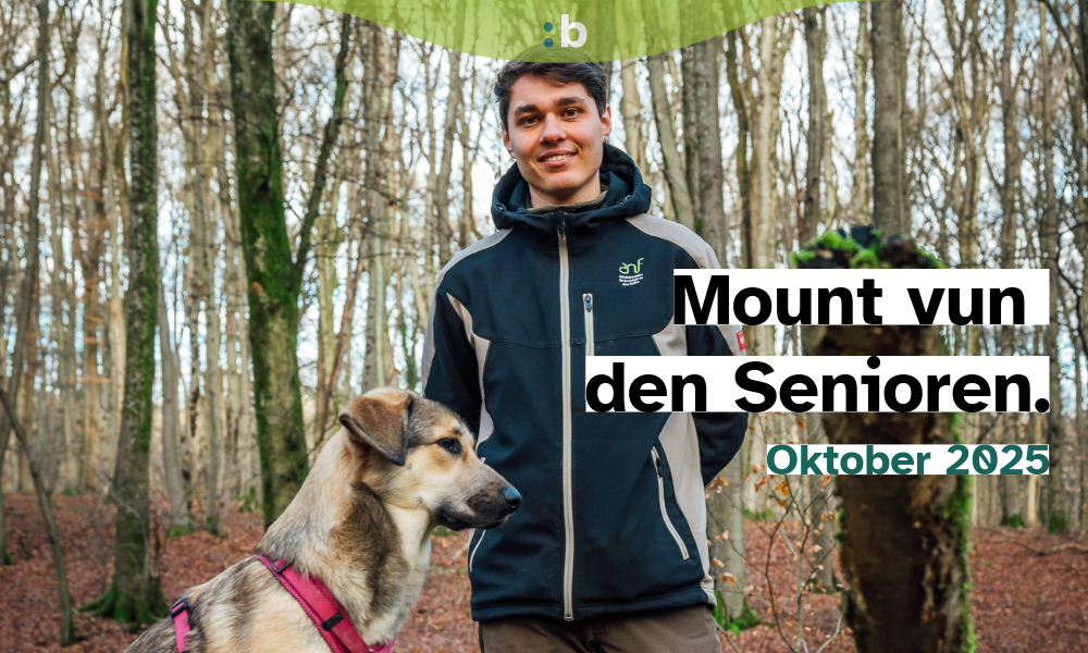 Balade en forêt : Découvrez avec notre garde forestier