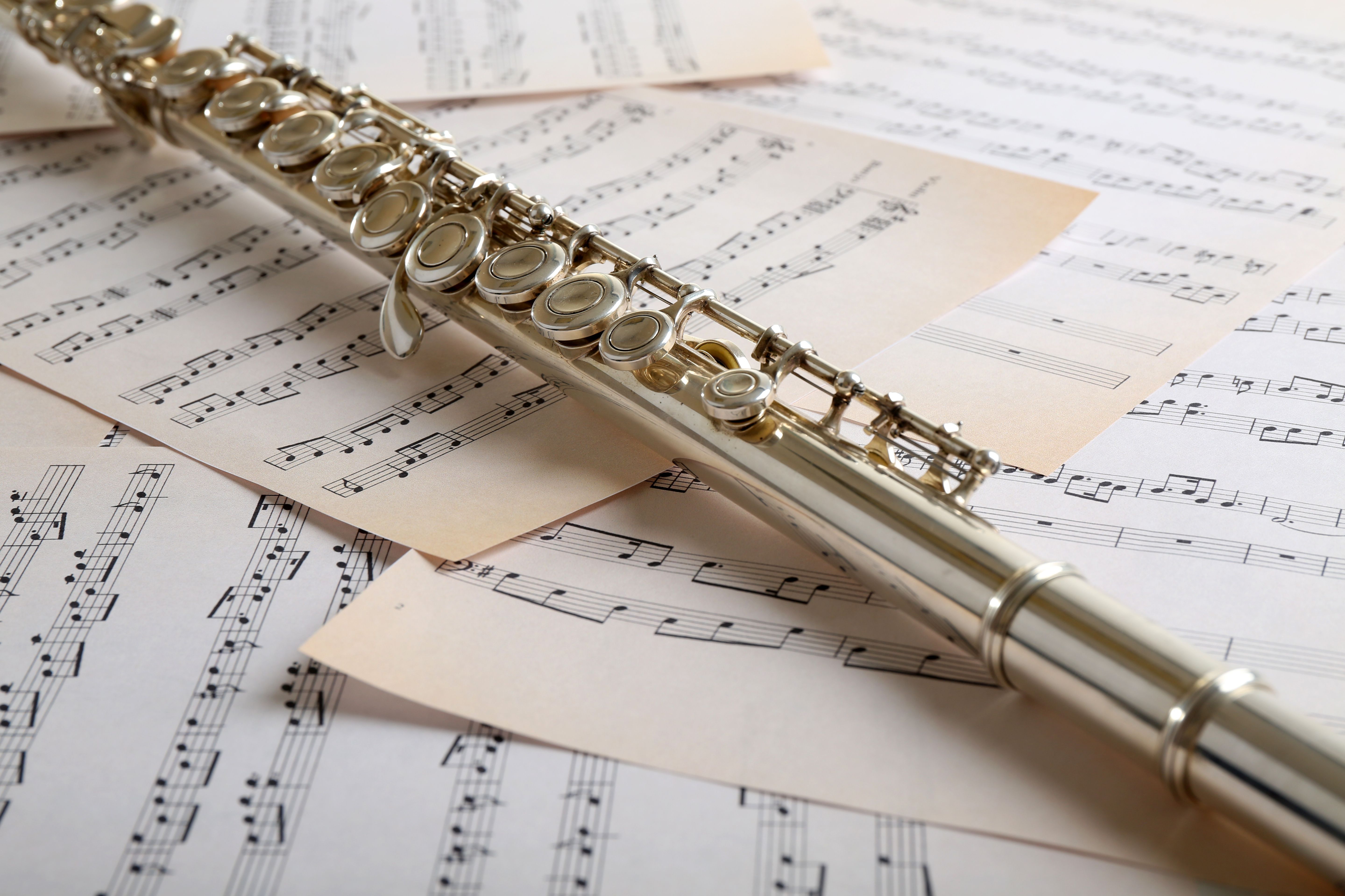 Concert Diploma – Flute