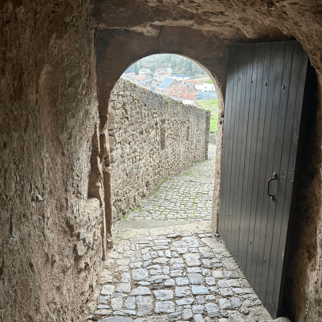 Escape Game : le blason doré