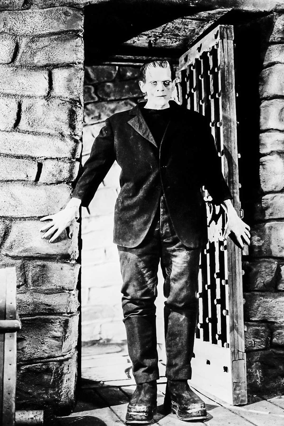 Frankenstein (Guillermo del Toro Retrospective)