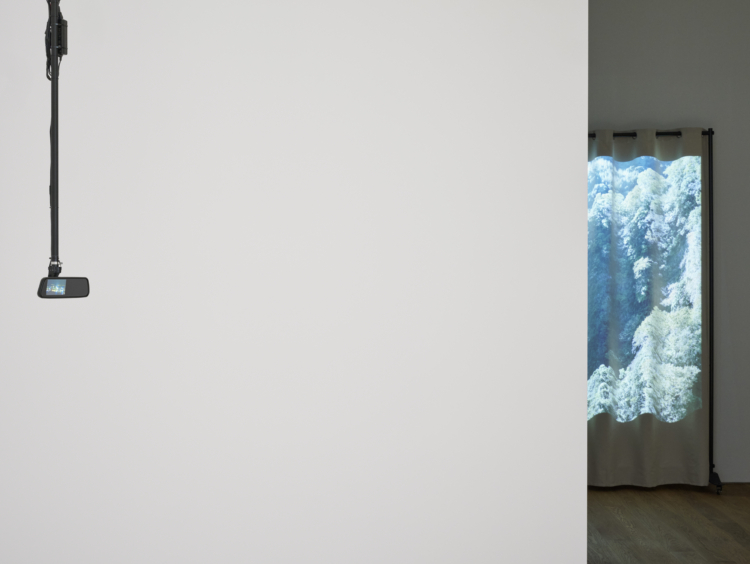 Mudam Akademie : Images en mouvement : cinéma, mémoire et altérité | En dialogue avec Tiffany Sia