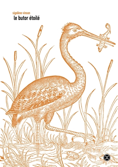 Rencontre avec Sigolène Vinson