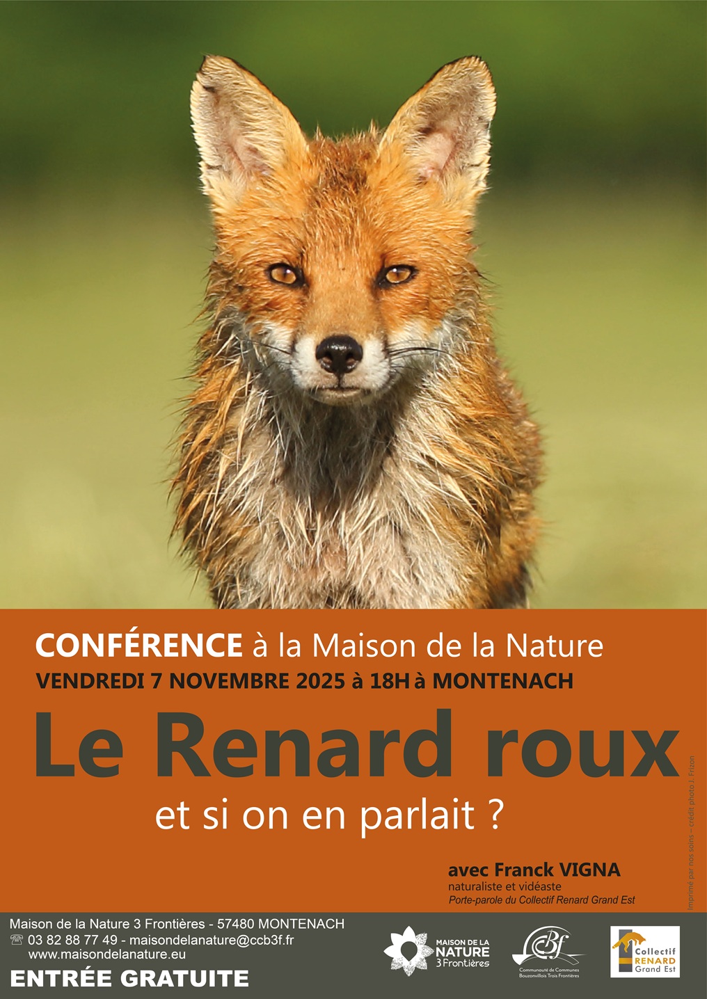 Le Renard roux, et si on en parlait ?