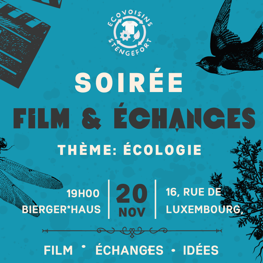 Movie Night & Discussions