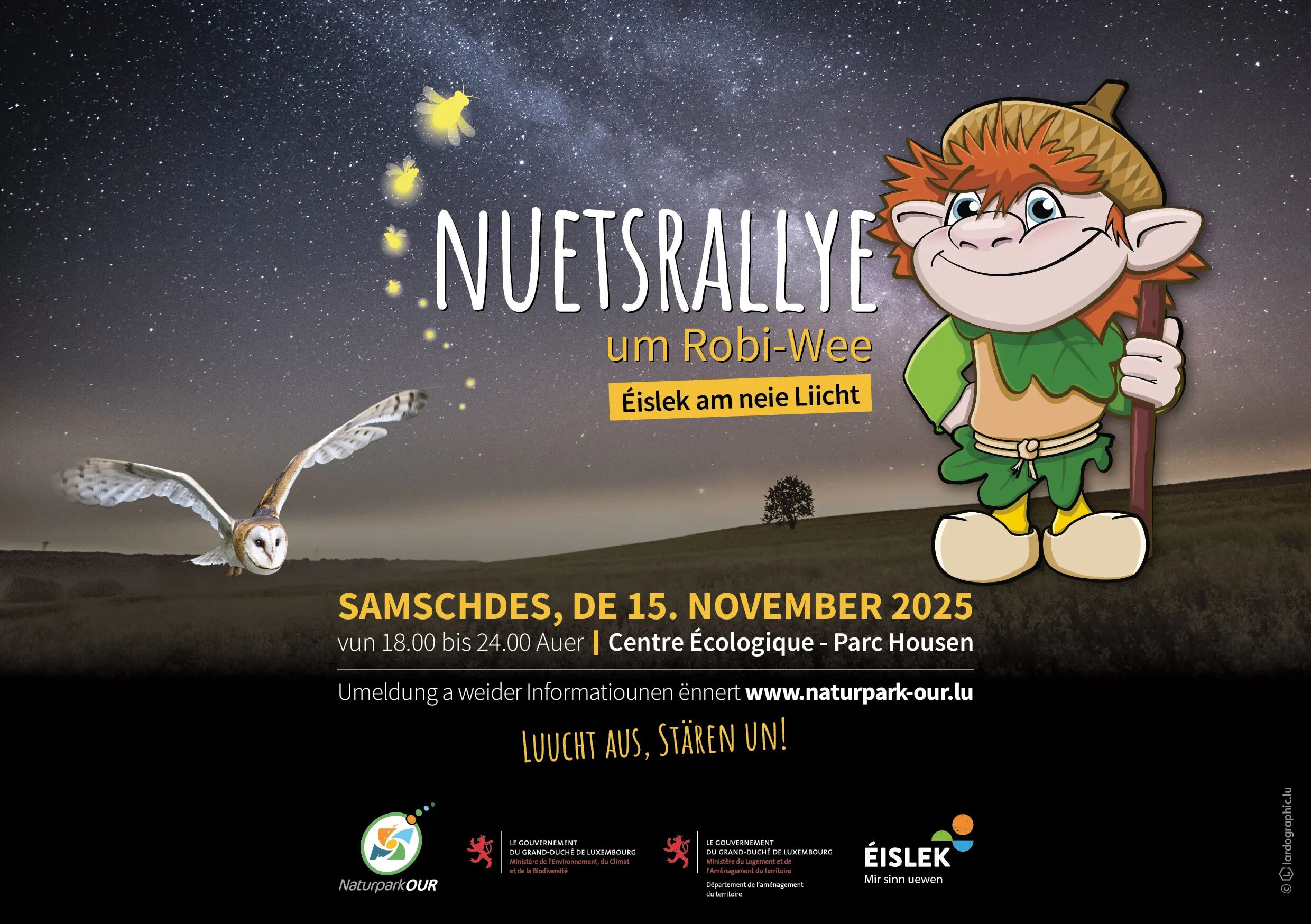 Night Rally around Robi-Wee