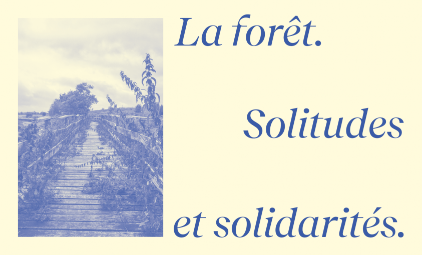 Midi de l'Art : La forêt. Solitudes et solidarités