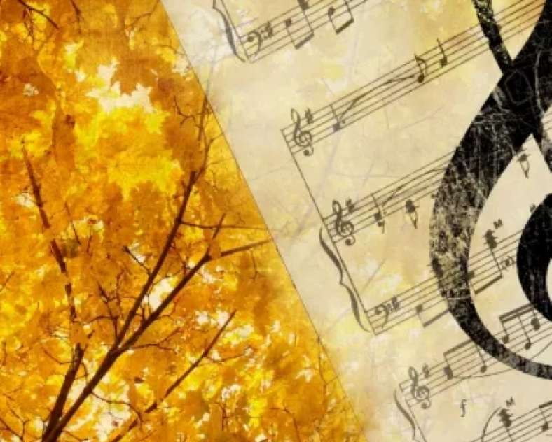 Concert Silence On Joue