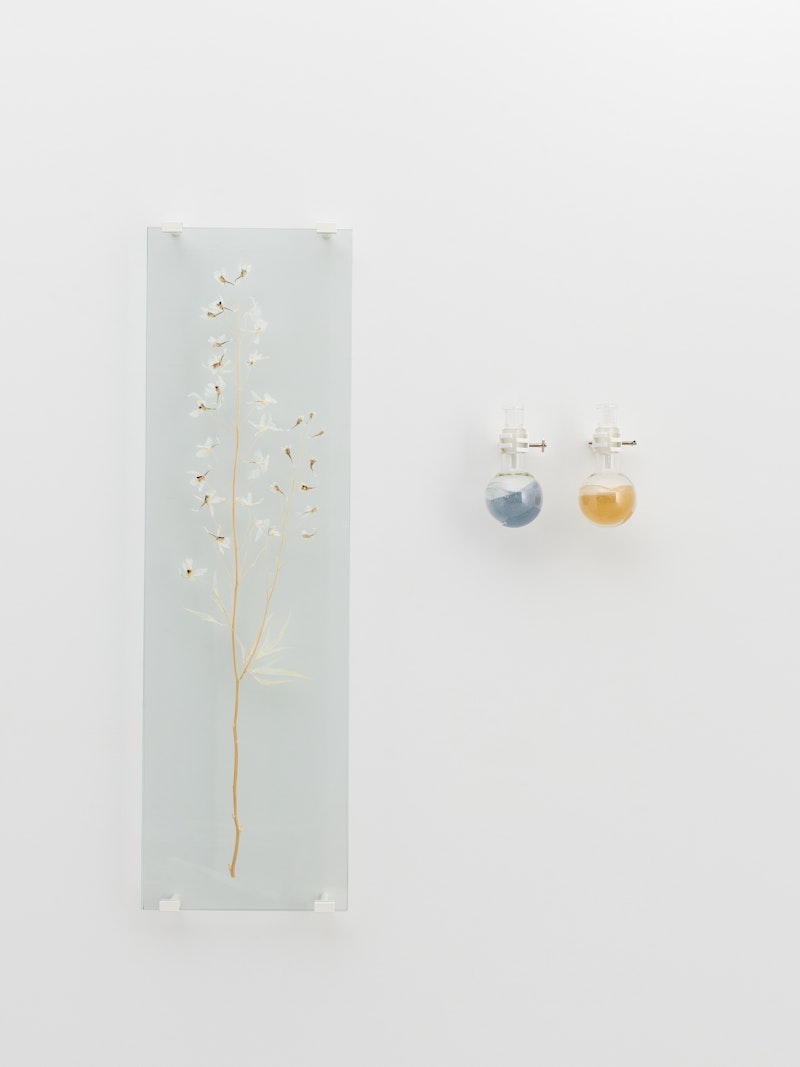 Elsa Salonen, From the Heavenly Wooded Area