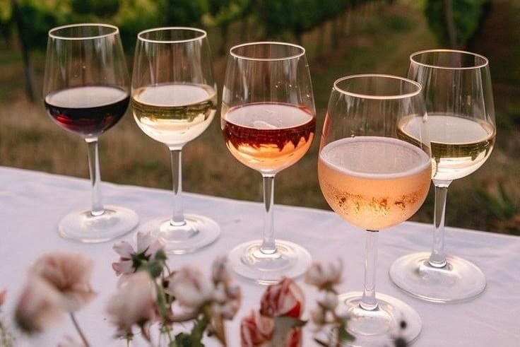 Dégustation de vins au Domaine Ruppert