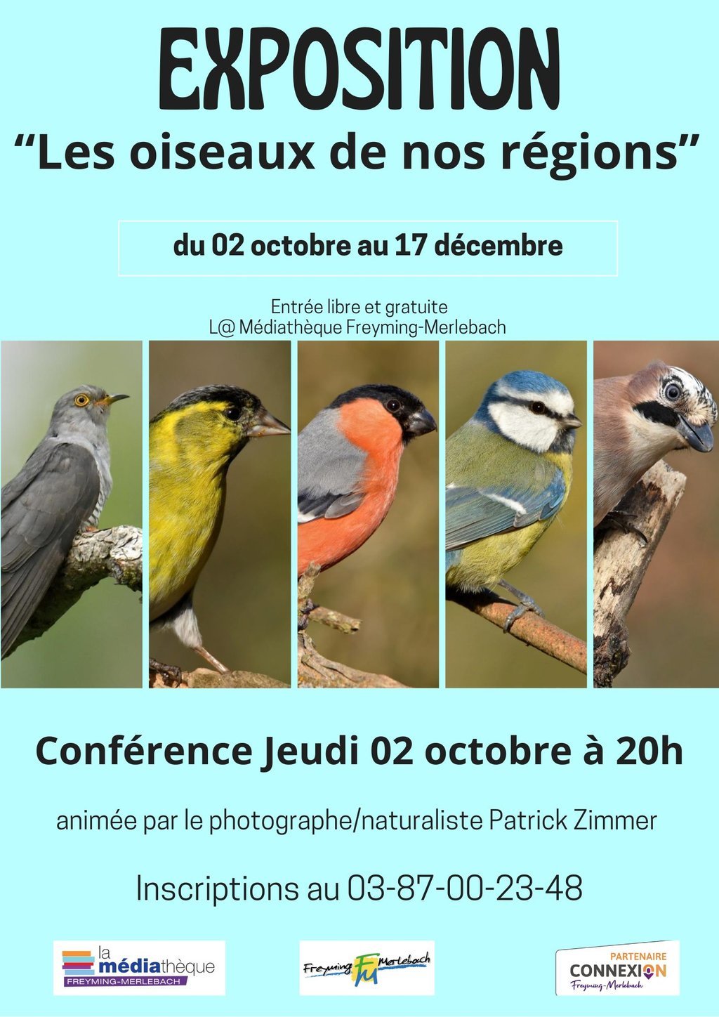 Exhibition - The Birds of Our Regions
