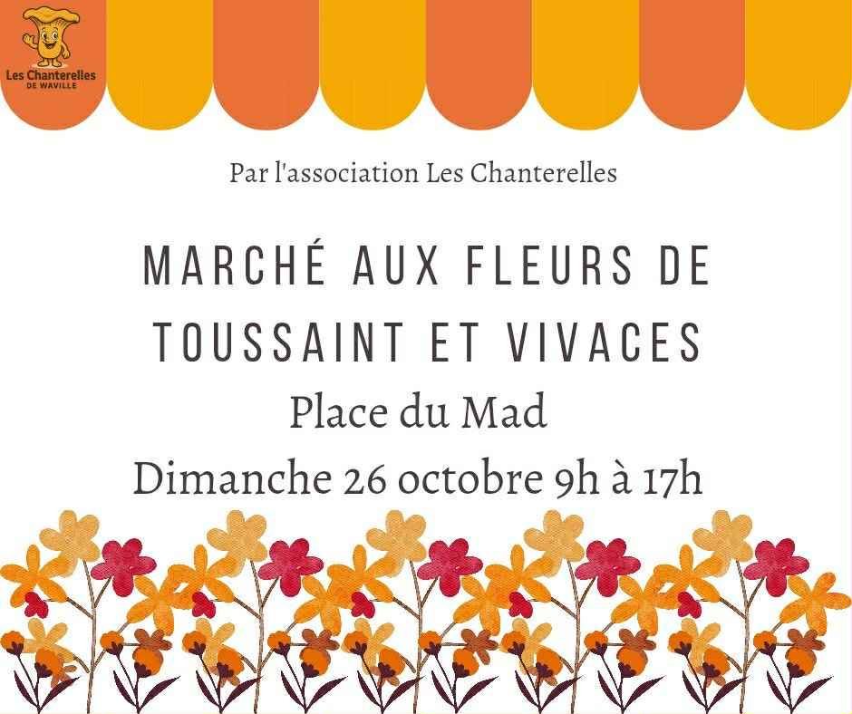 Flower and Perennials Sales