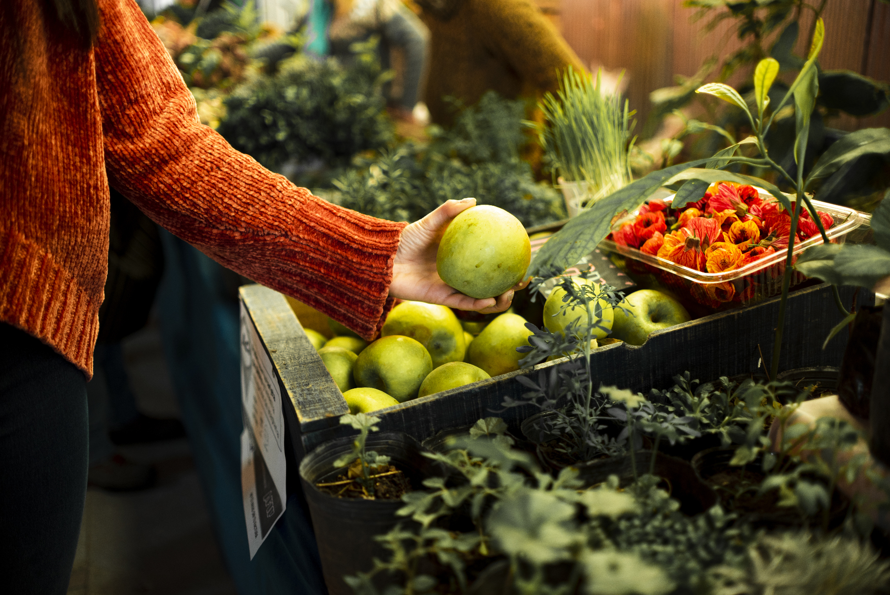 Christmas Farmer's Market