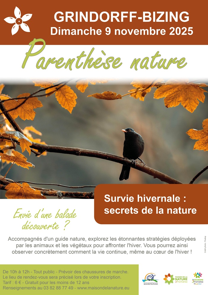 Survie hivernale : secrets de la nature