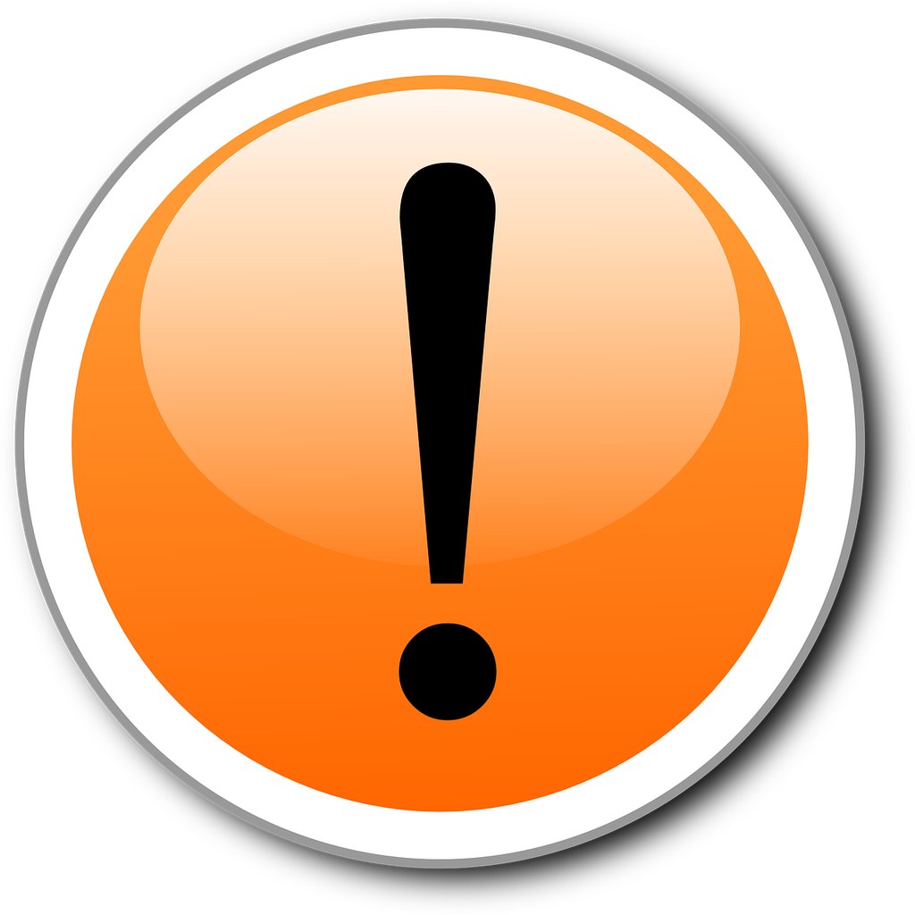 Alerte frelons asiatiques