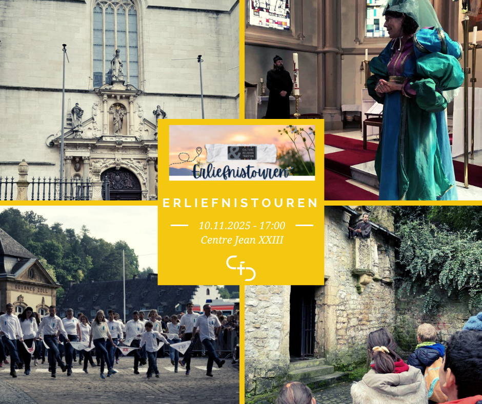 Présentation du projet "Erliefnistouren"