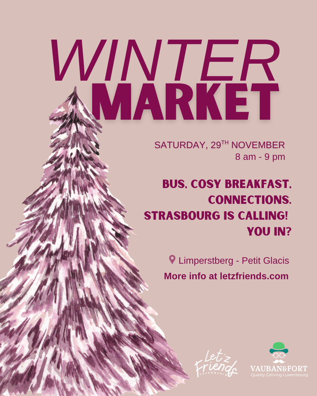 Strasbourg Christmas Market Getaway