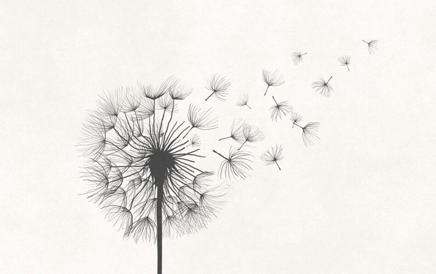 Anticipatory Mourning and White Grief