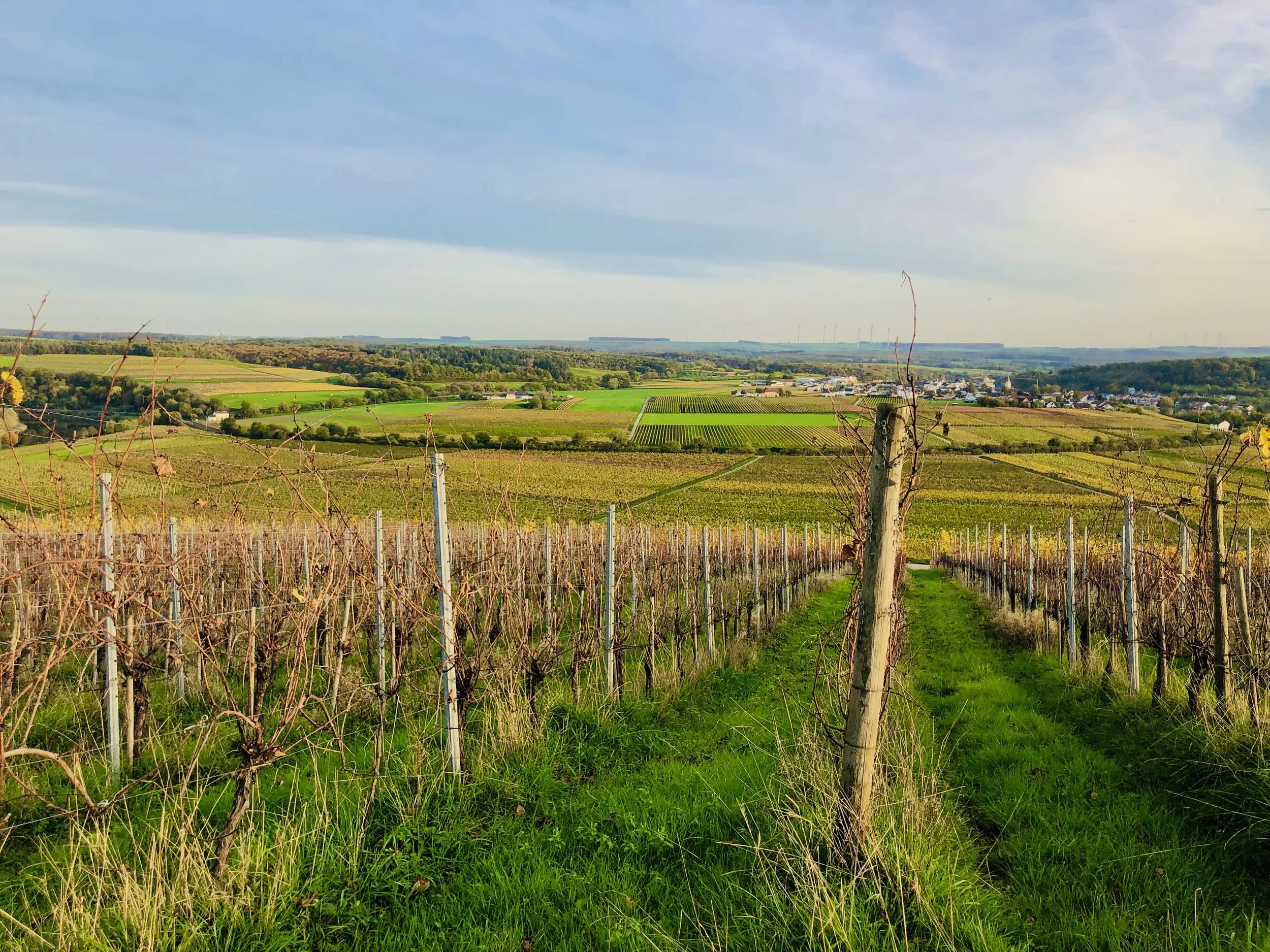 Marche et discussion du mercredi