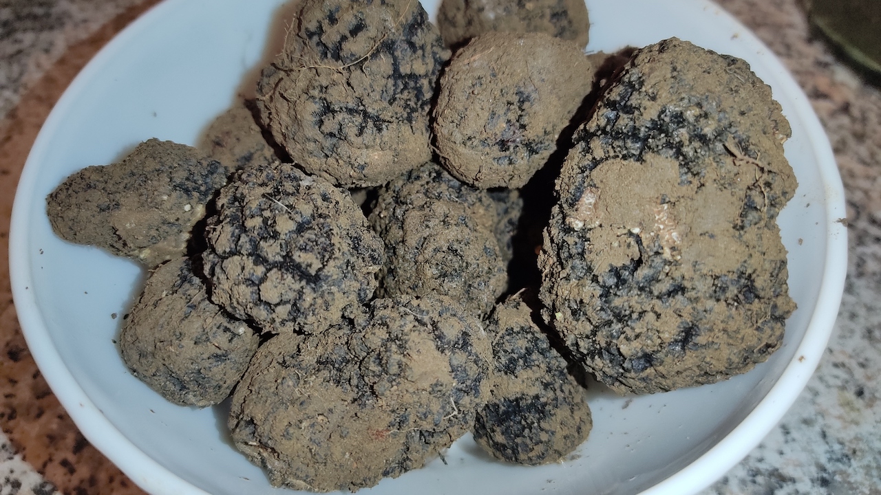 8ème fête de la truffe et du terroir